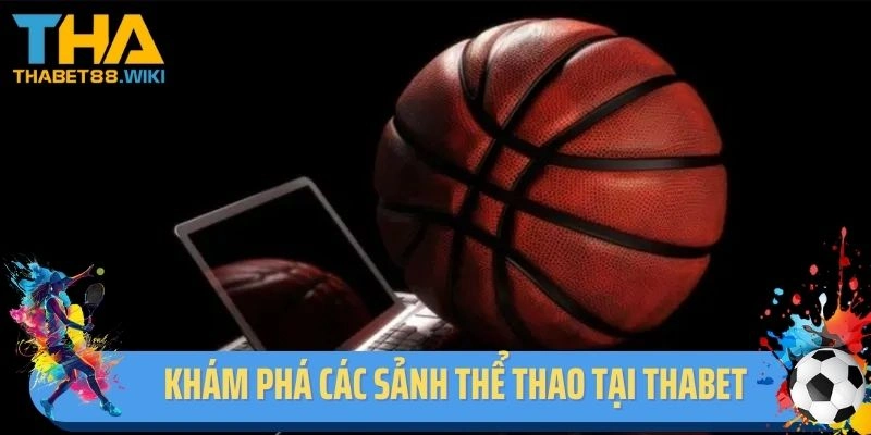Khám phá các sảnh thể thao tại Thabet